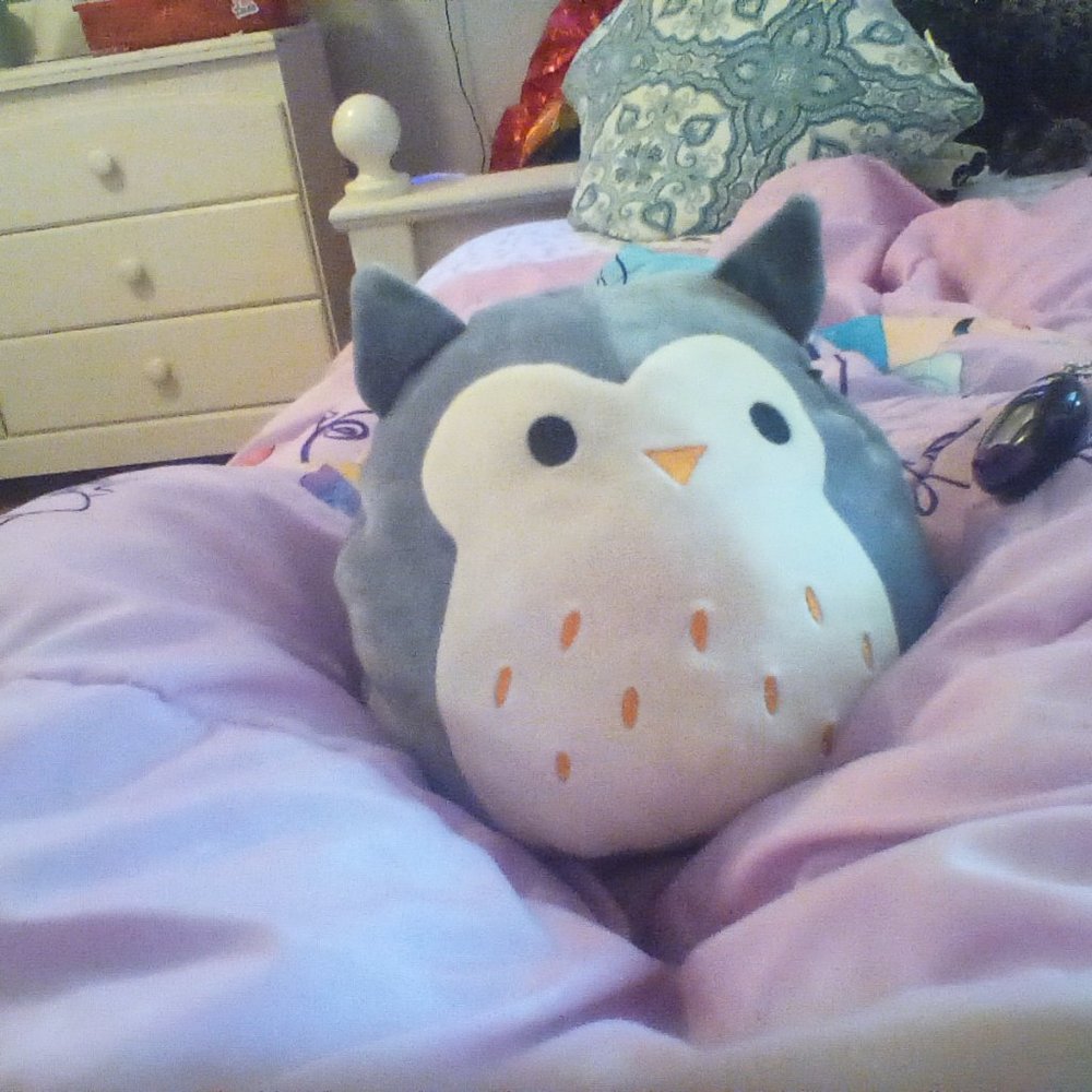 Hoot the squishmallow